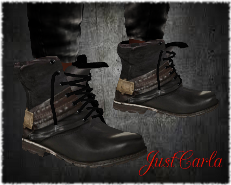 brownboots photo brownbootsnew_zps5e9a001a.png