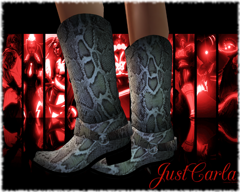 snake cowgirlboots photo snakecowgirlboots_zps6f9b609a.png
