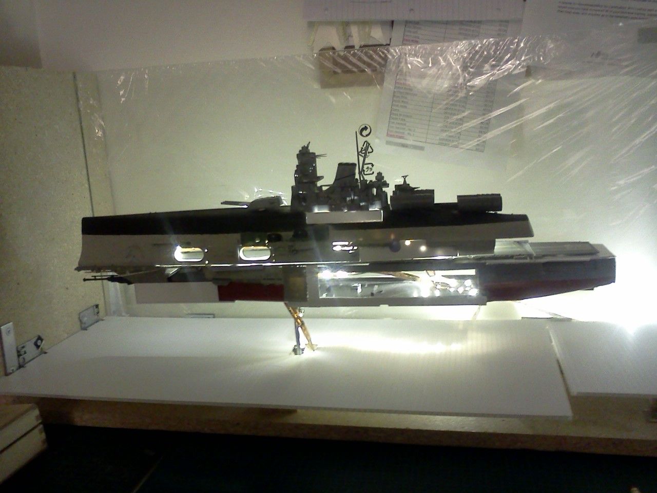 IMG410.jpg