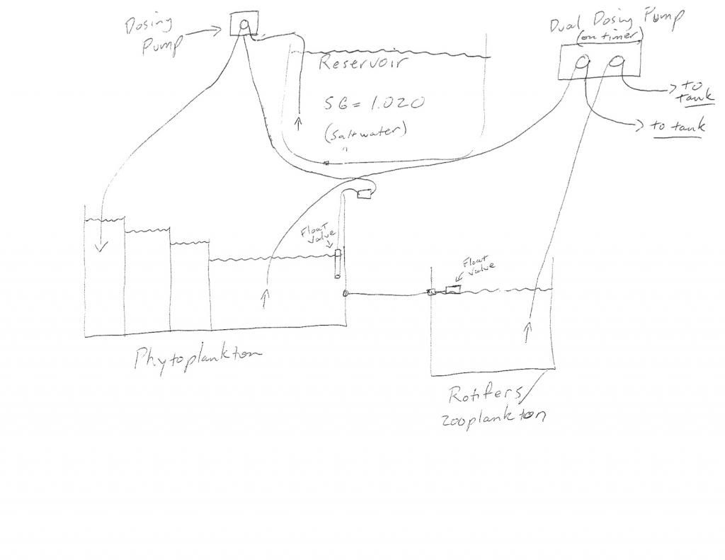  photo phytoreactor_zpsaae8a374.jpg