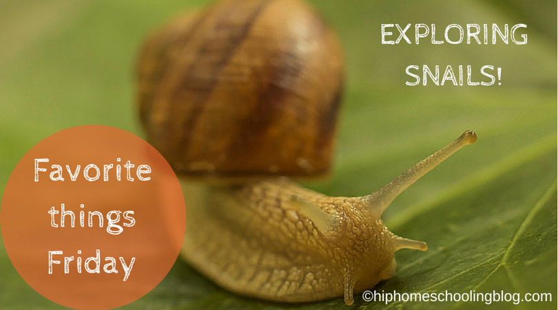 Homeschool Hooky: Finding Snails
