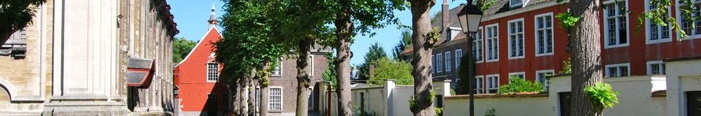 http://i1309.photobucket.com/albums/s632/LeBruxellois/PSS%20-%20Divers/DSC_0225_zps060582f8.jpg