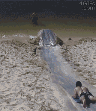 awesome-sports_zps3268d8b9.gif
