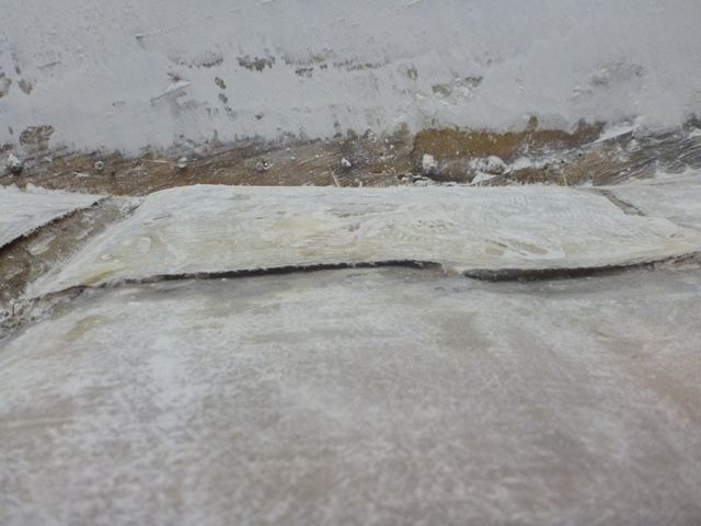 P1020662_zpsbb13d30a.jpg