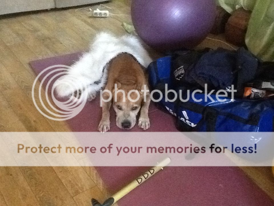 Photobucket Pictures, Images and Photos