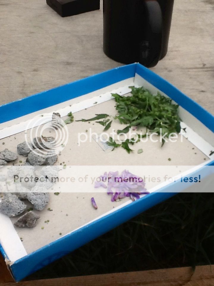 Photobucket Pictures, Images and Photos