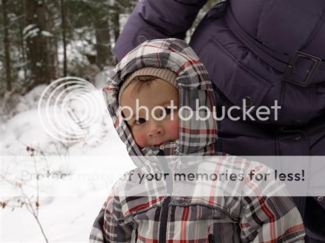 Photobucket Pictures, Images and Photos