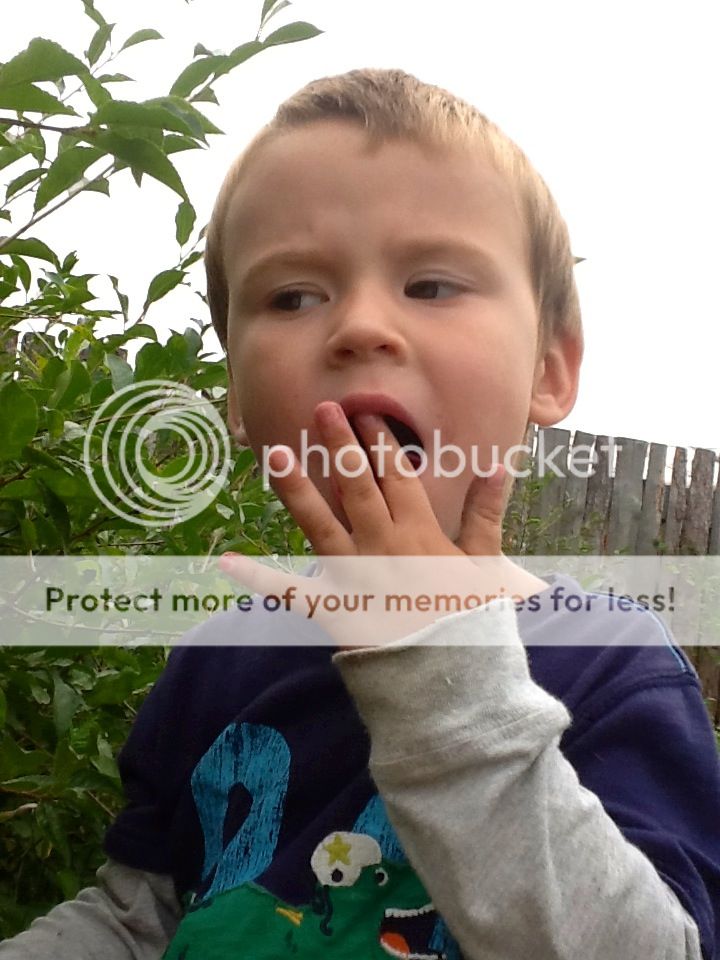 Photobucket Pictures, Images and Photos