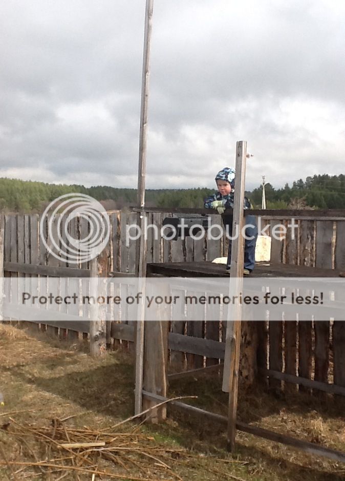 Photobucket Pictures, Images and Photos