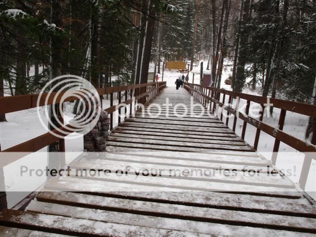 Photobucket Pictures, Images and Photos