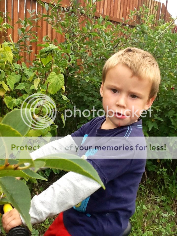 Photobucket Pictures, Images and Photos