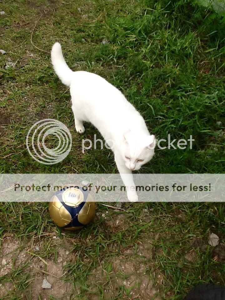 Photobucket Pictures, Images and Photos