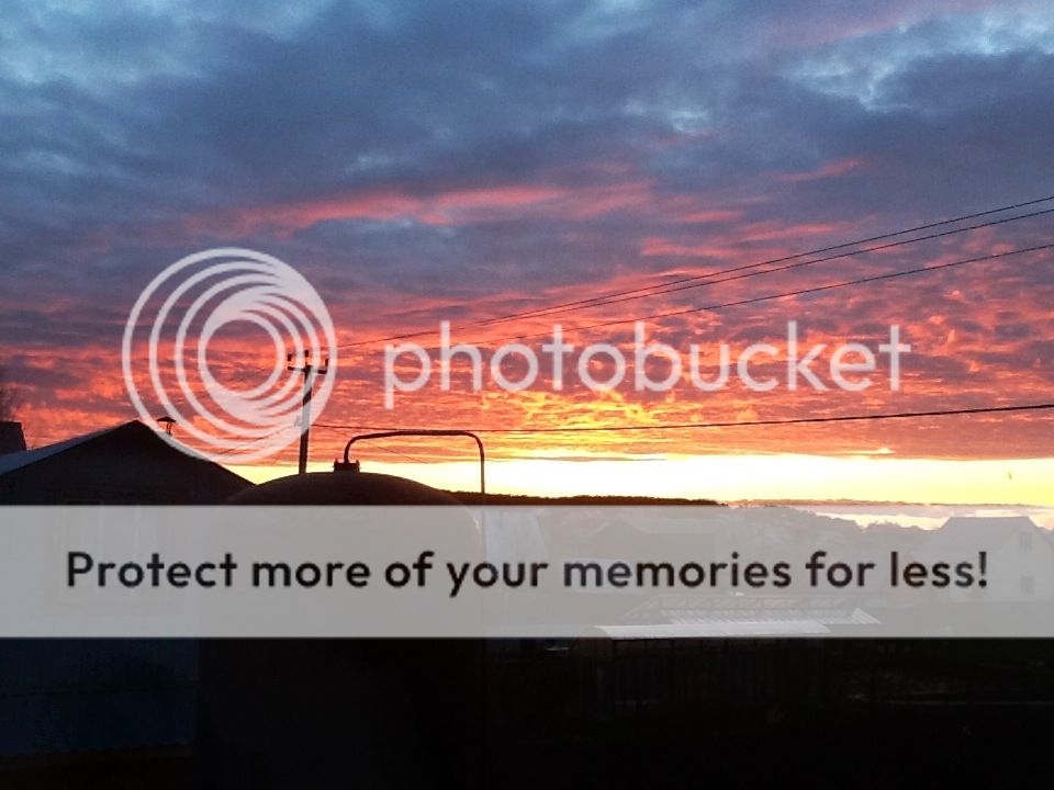 Photobucket Pictures, Images and Photos