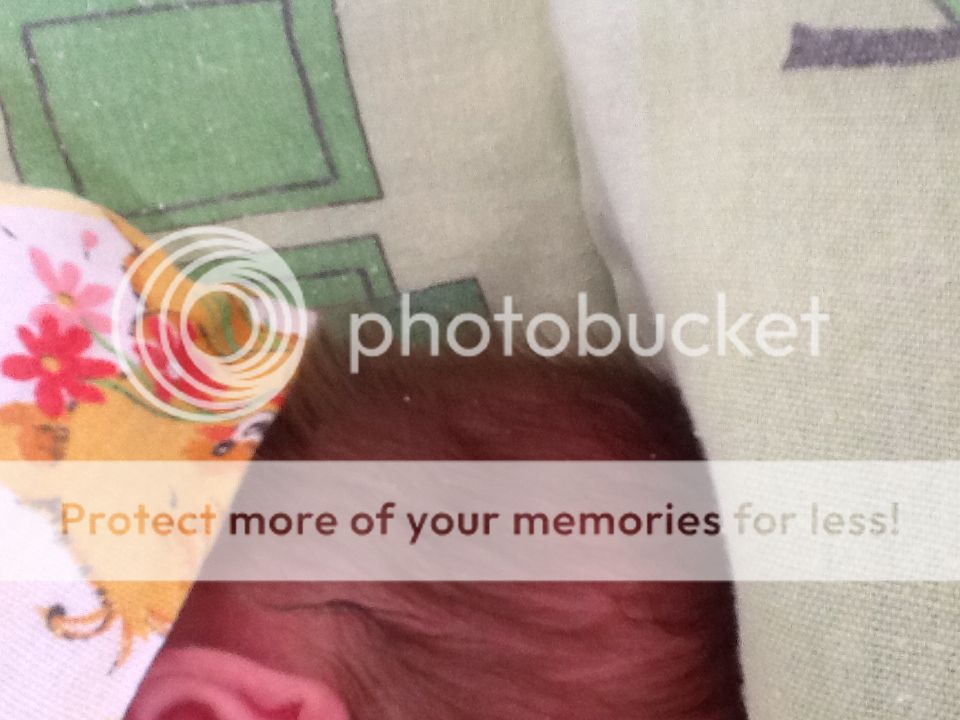 Photobucket Pictures, Images and Photos