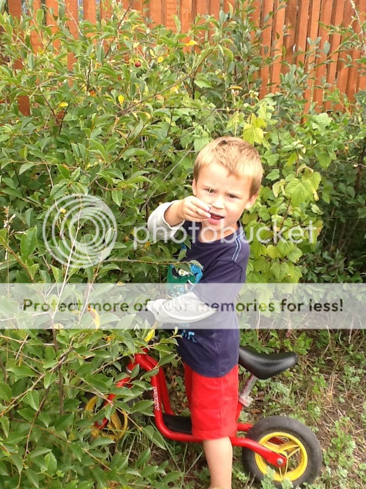 Photobucket Pictures, Images and Photos