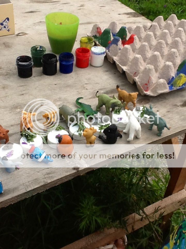 Photobucket Pictures, Images and Photos