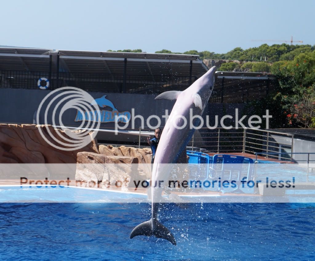 Photobucket Pictures, Images and Photos