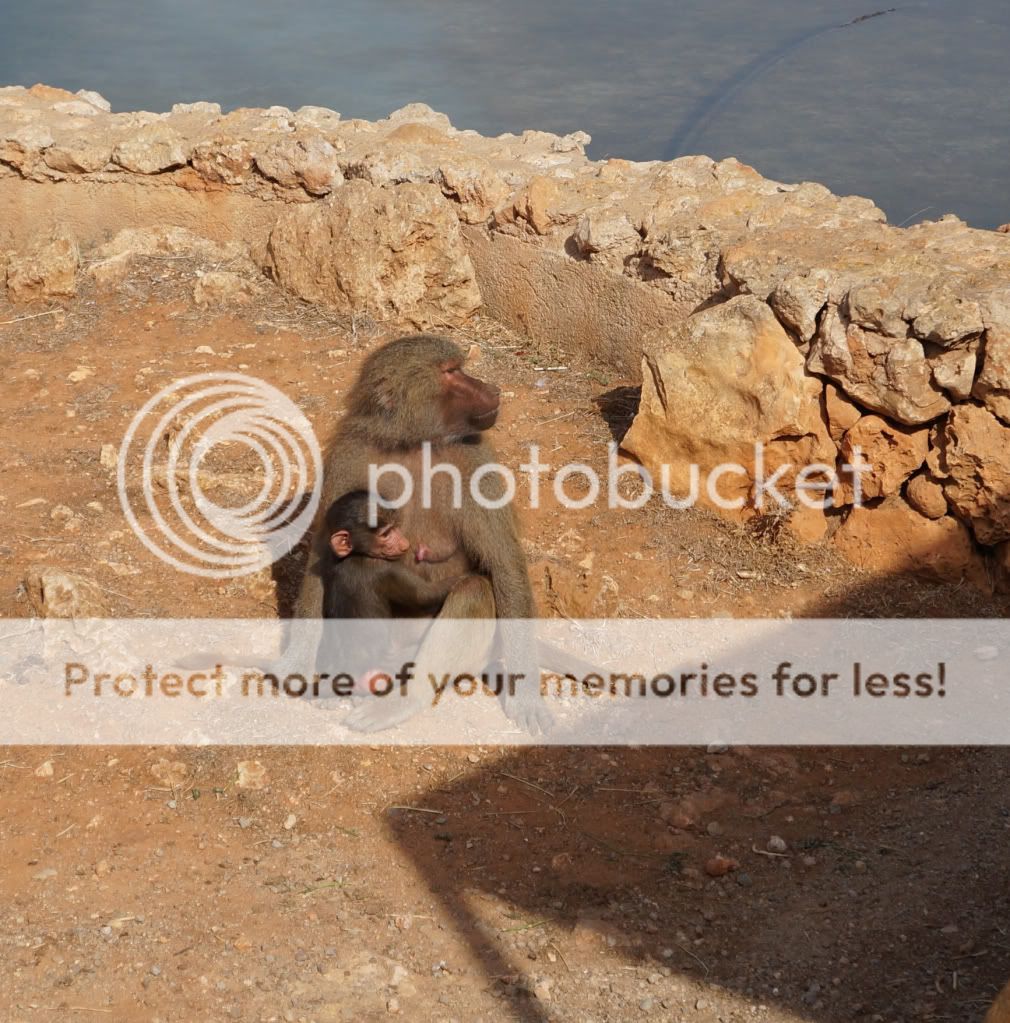 Photobucket Pictures, Images and Photos