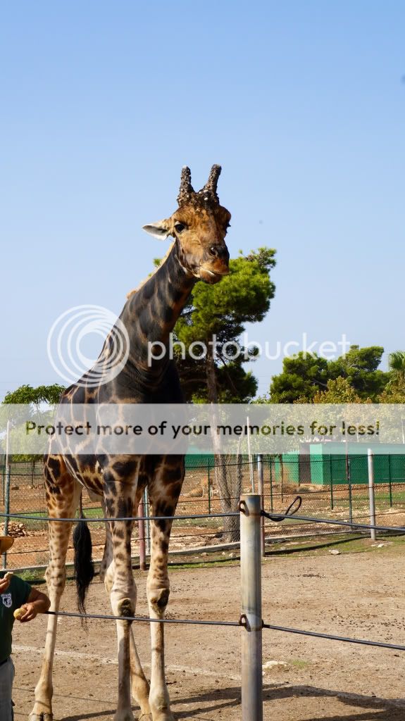 Photobucket Pictures, Images and Photos