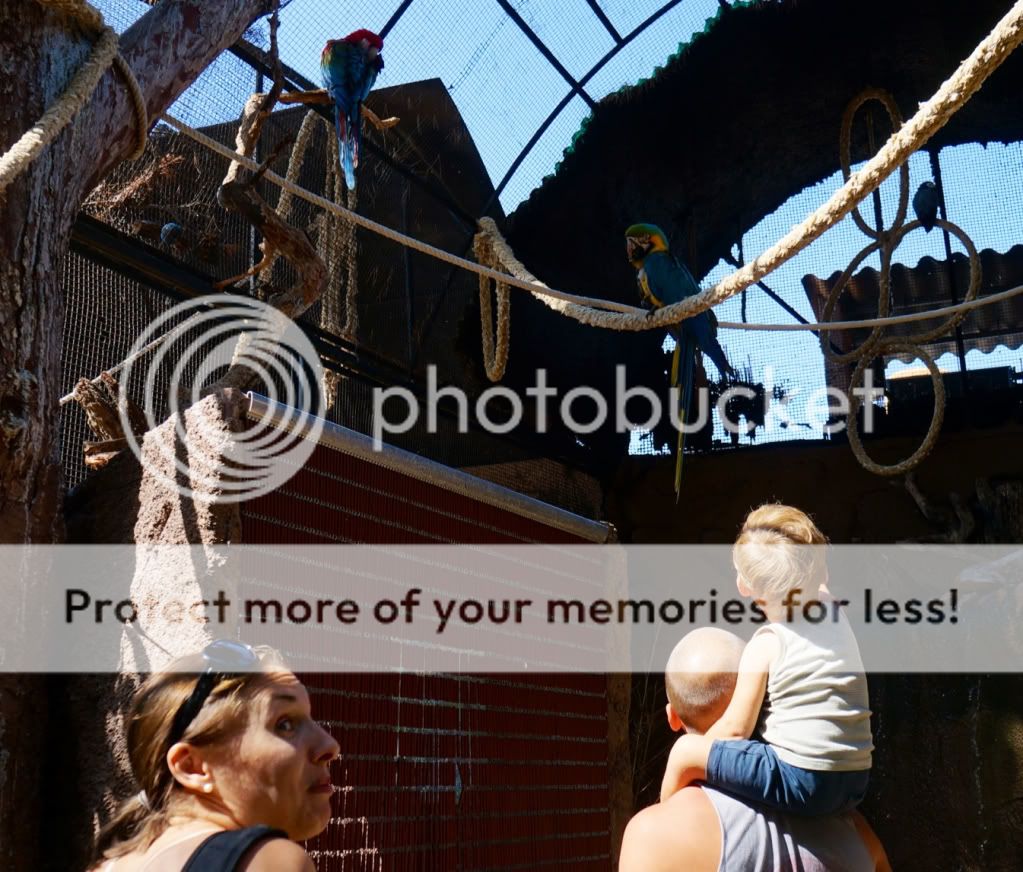 Photobucket Pictures, Images and Photos