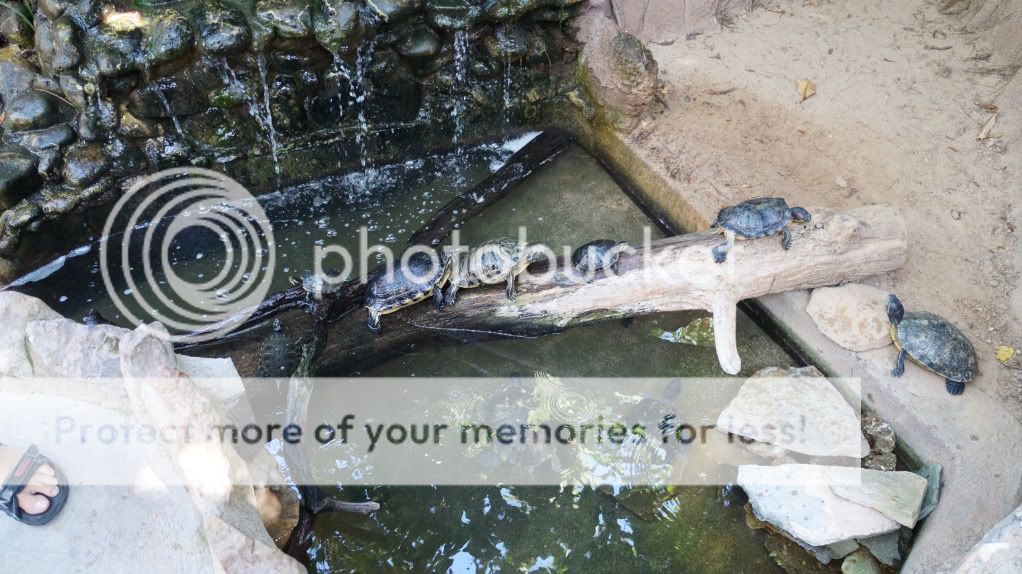 Photobucket Pictures, Images and Photos