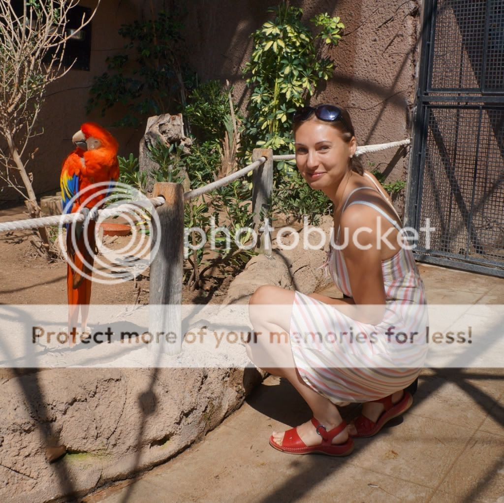 Photobucket Pictures, Images and Photos