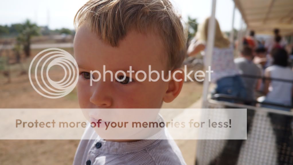 Photobucket Pictures, Images and Photos