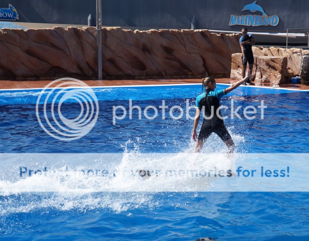 Photobucket Pictures, Images and Photos