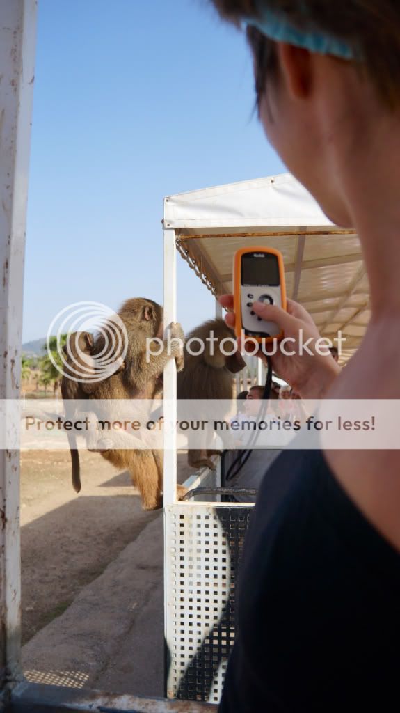 Photobucket Pictures, Images and Photos