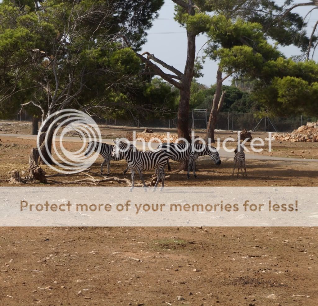 Photobucket Pictures, Images and Photos