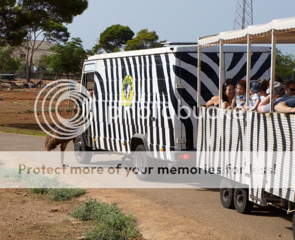 Photobucket Pictures, Images and Photos