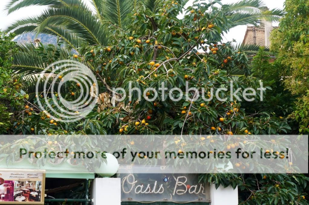 Photobucket Pictures, Images and Photos