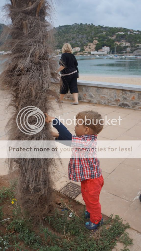 Photobucket Pictures, Images and Photos