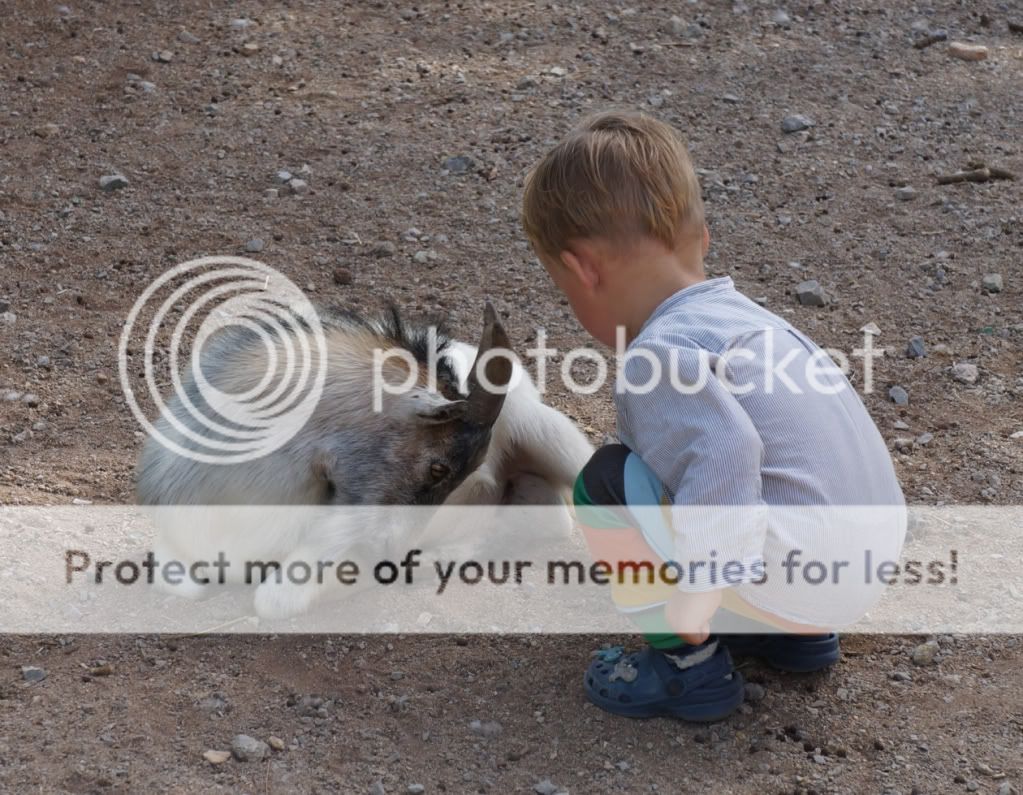Photobucket Pictures, Images and Photos