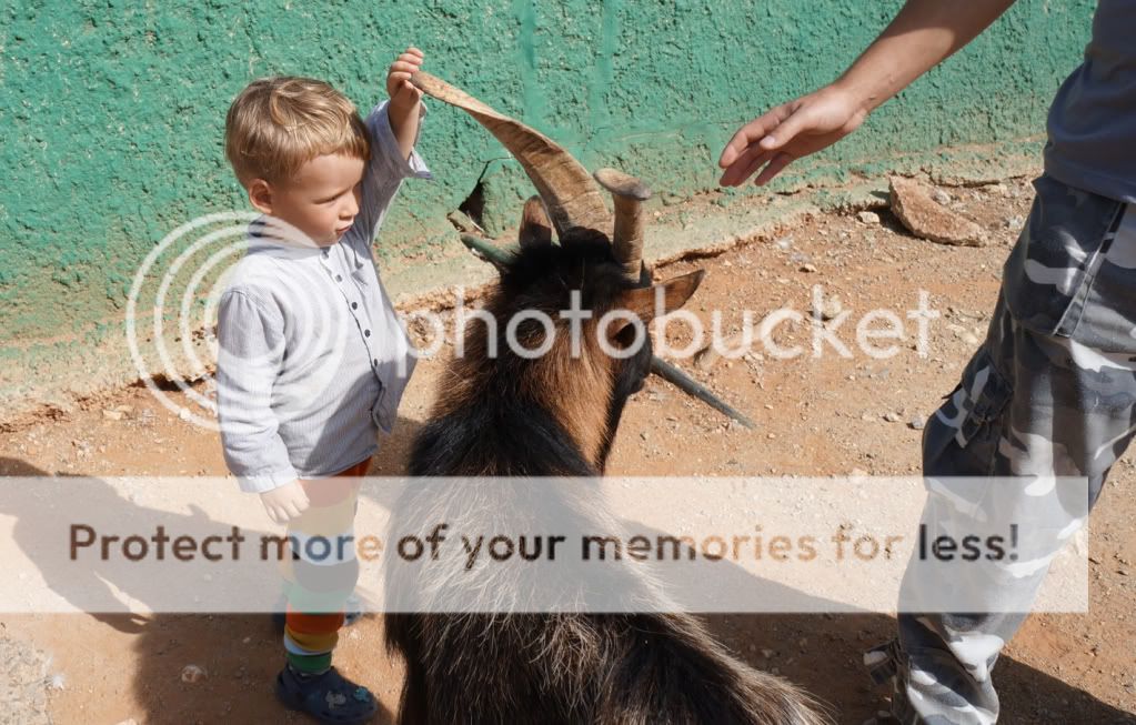 Photobucket Pictures, Images and Photos