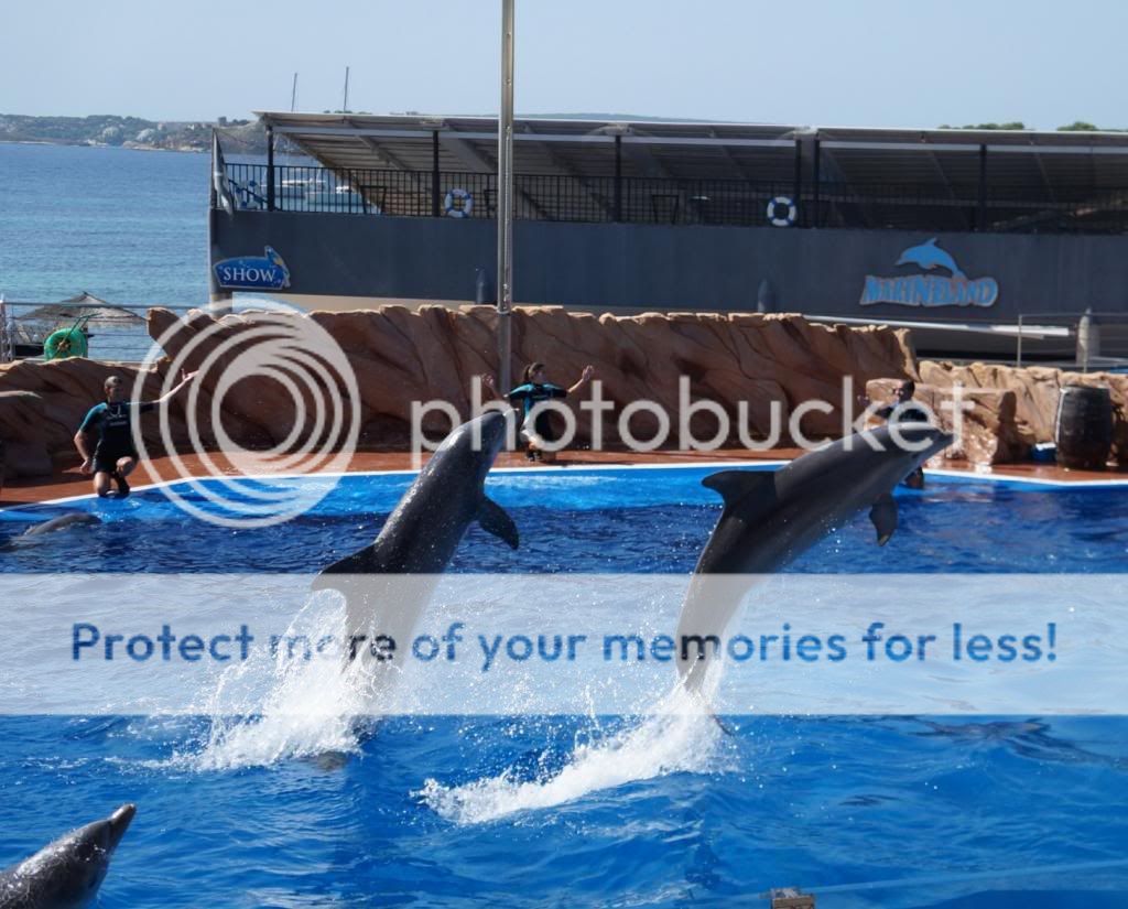 Photobucket Pictures, Images and Photos