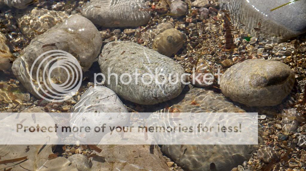 Photobucket Pictures, Images and Photos