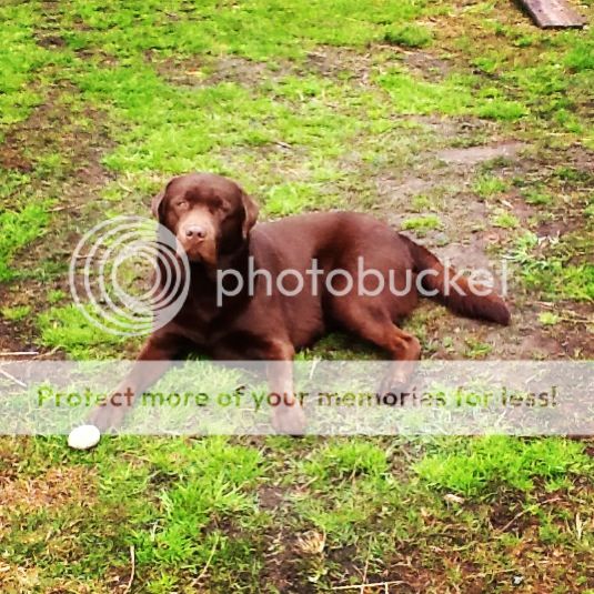 Photobucket Pictures, Images and Photos