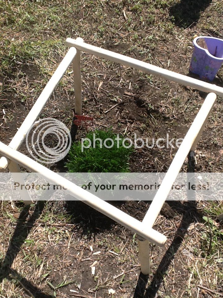 Photobucket Pictures, Images and Photos