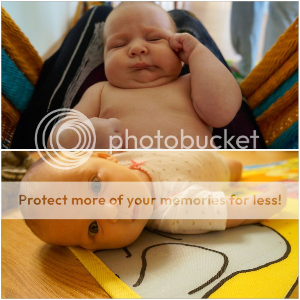 Photobucket Pictures, Images and Photos