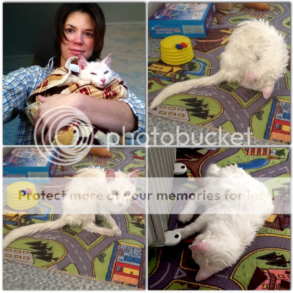 Photobucket Pictures, Images and Photos