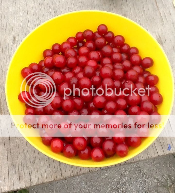 Photobucket Pictures, Images and Photos