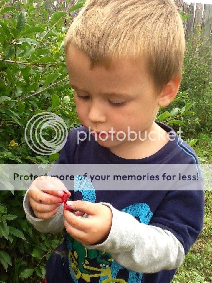 Photobucket Pictures, Images and Photos