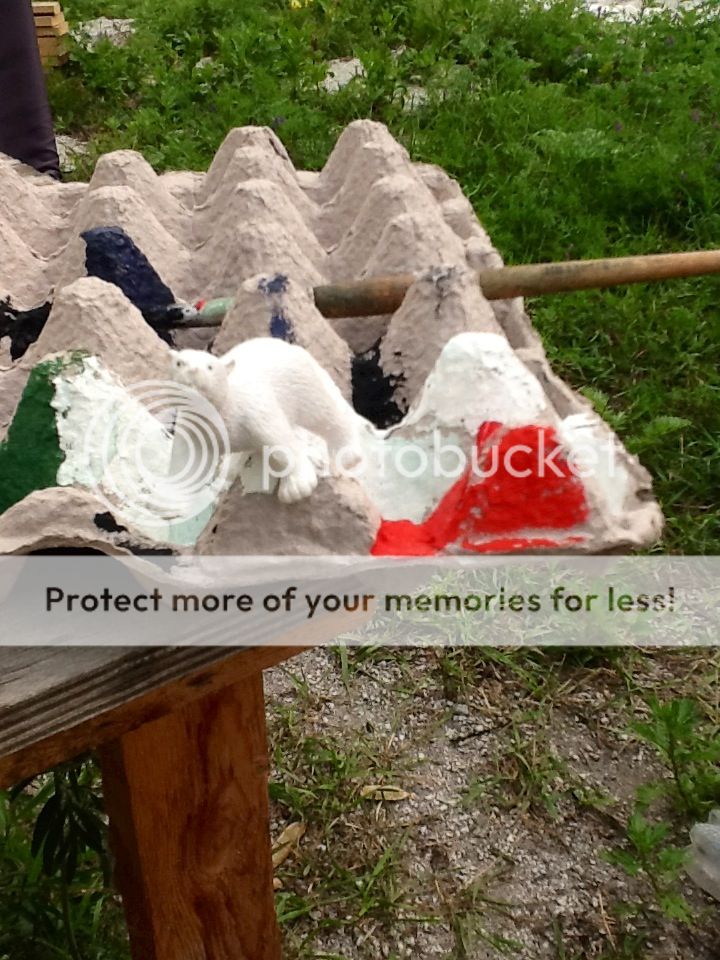 Photobucket Pictures, Images and Photos