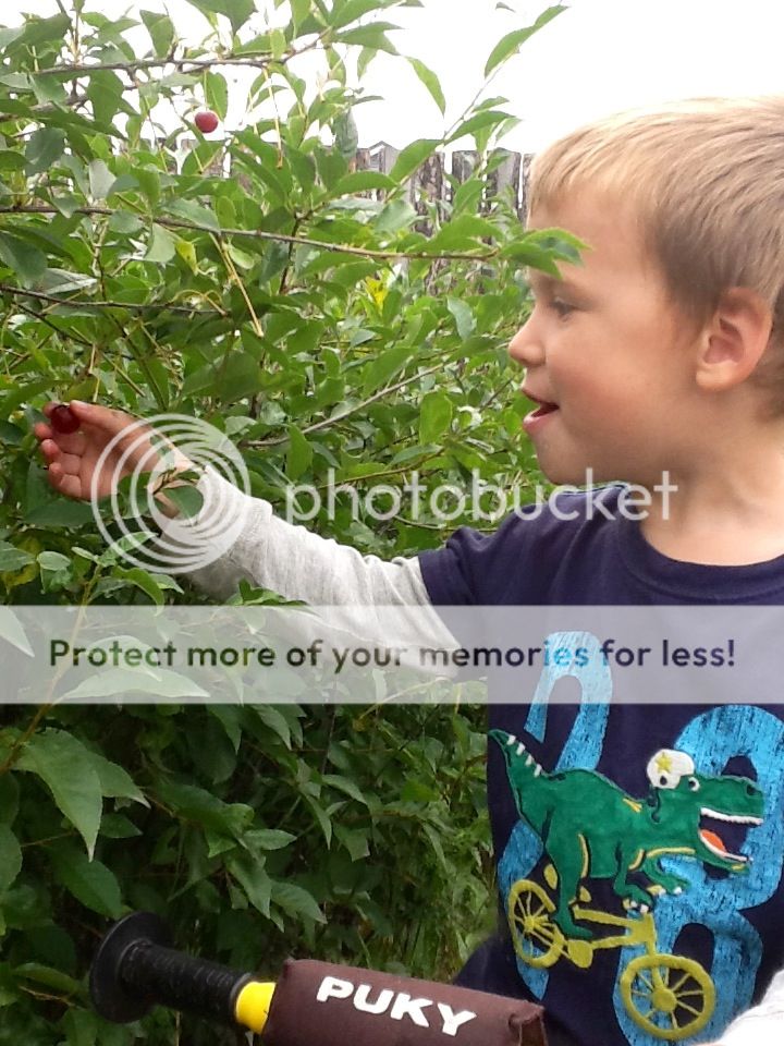 Photobucket Pictures, Images and Photos